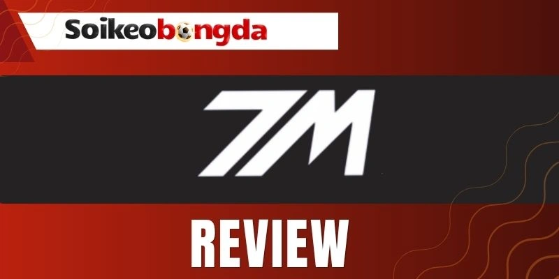 Những thông tin được cập nhật tại 7M