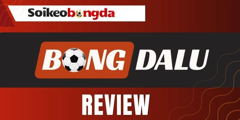 Sơ lược về trang tin bóng đá Bongdalu