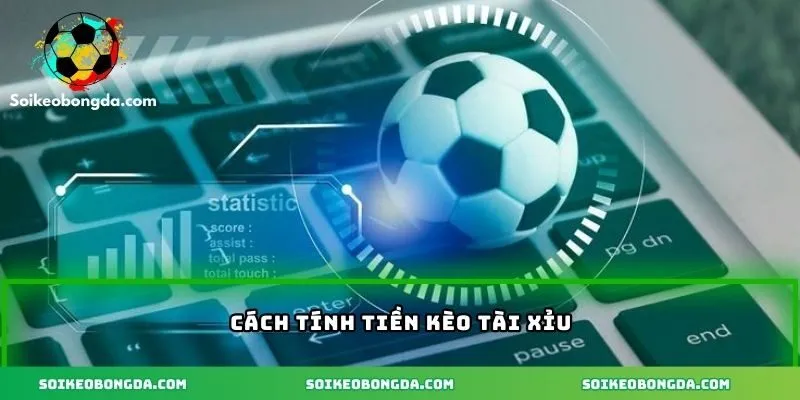 Kèo Tài Xỉu Bóng Đá Là Gì? Hướng Dẫn Cách Chơi Và Cách Tính Tiền 2 vi-du-cu-the-ve-cach-tinh-tien-keo-chuan-xac