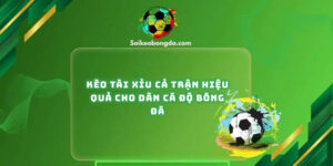 keo-tai-xiu-ca-tran-hieu-qua-cho-dan-ca-do