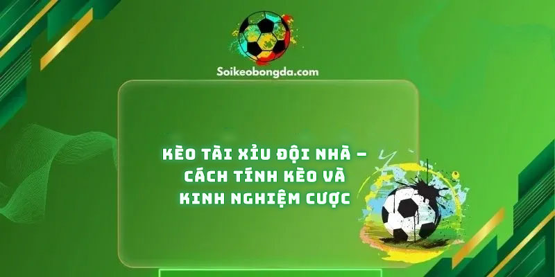 keo-tai-xiu-doi-nha-cach-tinh-keo-va-kinh-nghiem