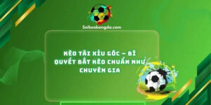 keo-tai-xiu-goc-bi-quyet-bat-keo-chuan-chuyen-gia