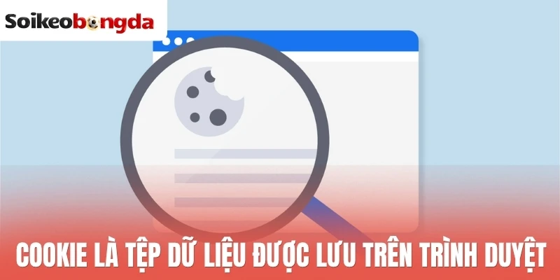 Cookie là tệp dữ liệu được lưu trên trình duyệt