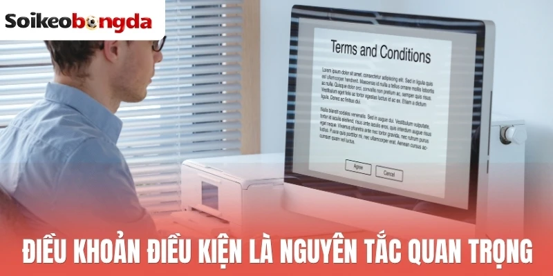 Điều khoản điều kiện là nguyên tắc quan trọng
