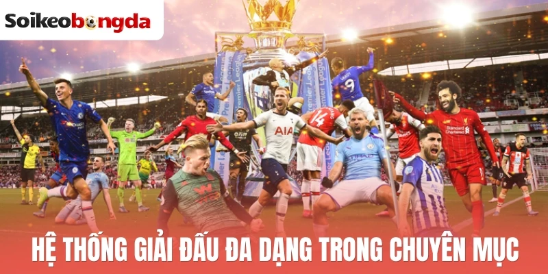 Hệ thống giải đấu đa dạng trong chuyên mục