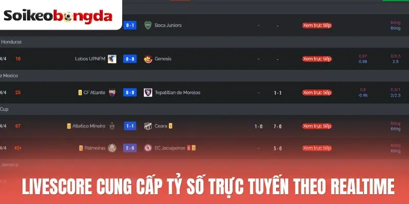 Livescore cung cấp tỷ số trực tuyến theo realtime