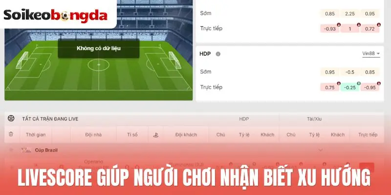Livescore giúp người chơi nhận biết xu hướng 