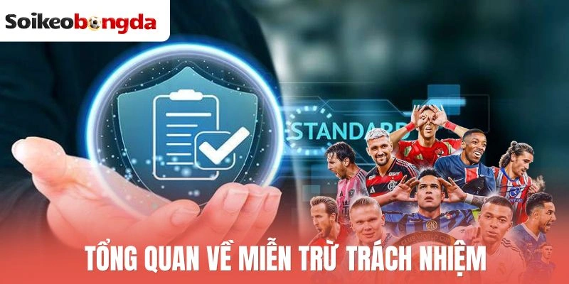 Tổng quan về miễn trừ trách nhiệm