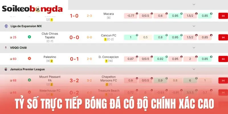Tỷ số trực tiếp bóng đá có độ chính xác cao
