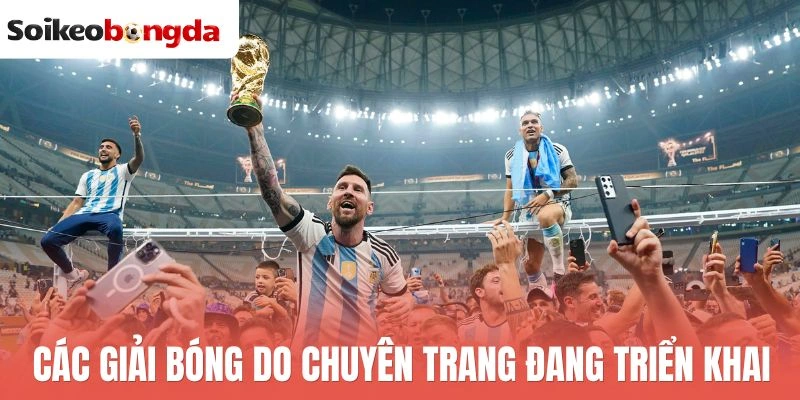 Các giải bóng do chuyên trang đang triển khai