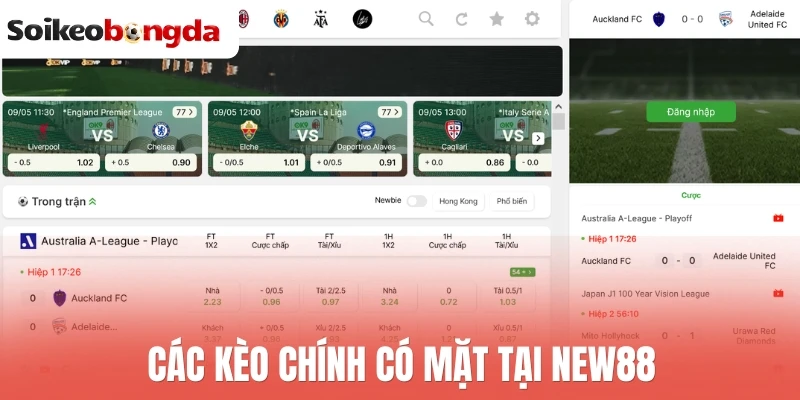 Các kèo chính có mặt tại New88