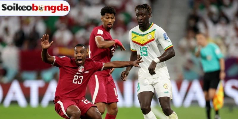 Đội hình trận Bosnia and Herzegovina vs Qatar