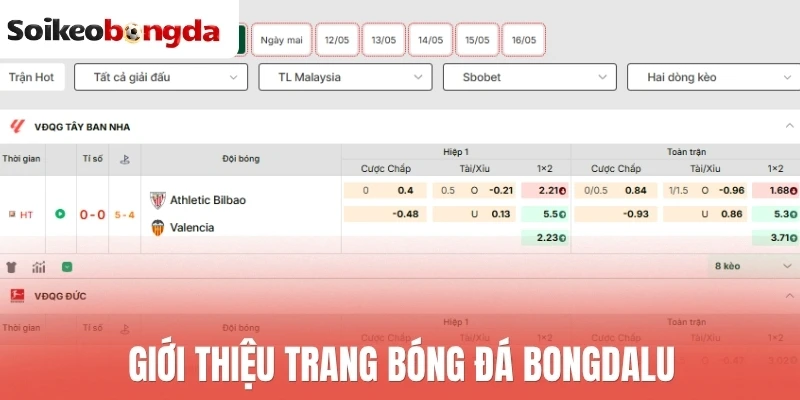 Giới thiệu trang bóng đá Bongdalu