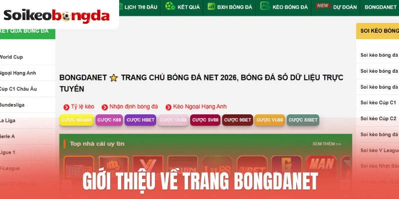 Giới thiệu về trang Bongdanet 