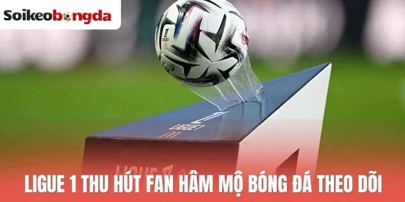 Soi kèo bóng đá 27 Ligue 1 thu hút fan hâm mộ bóng đá theo dõi