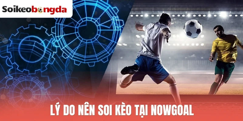 Lý do nên soi kèo tại Nowgoal
