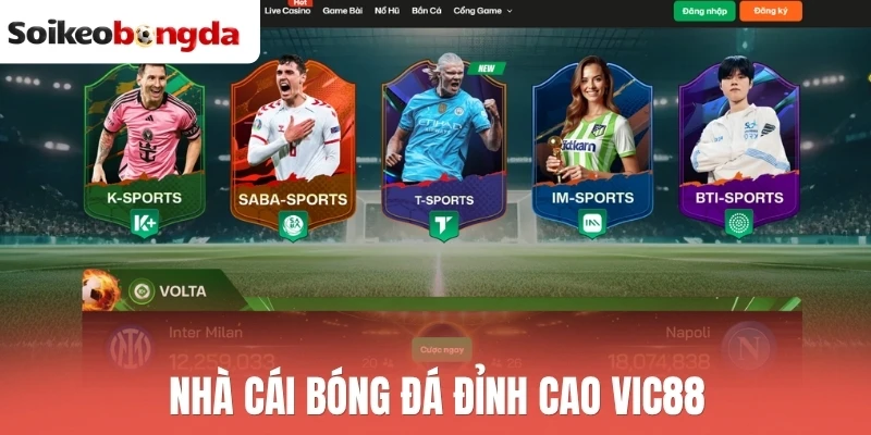 Soi kèo bóng đá 28 Nhà cái bóng đá đỉnh cao Vic88