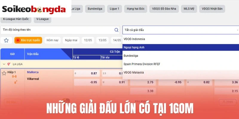Những giải đấu lớn có tại 1Gom