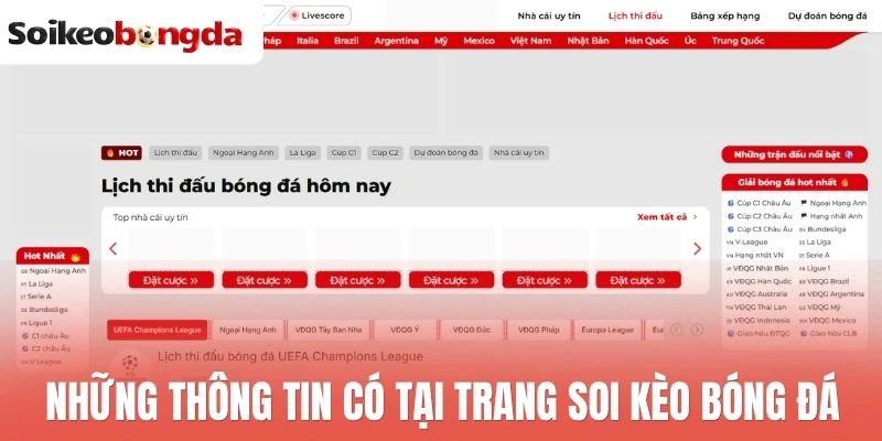 Soi kèo bóng đá 25 Những thông tin có tại trang soi kèo bóng đá