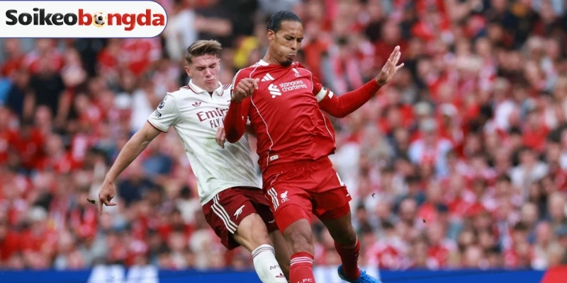 Sơ đồ dự kiến trận Tunisia vs Nhật Bản
