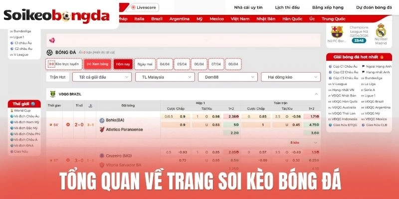 Soi kèo bóng đá 23 Tổng quan về trang soi kèo bóng đá