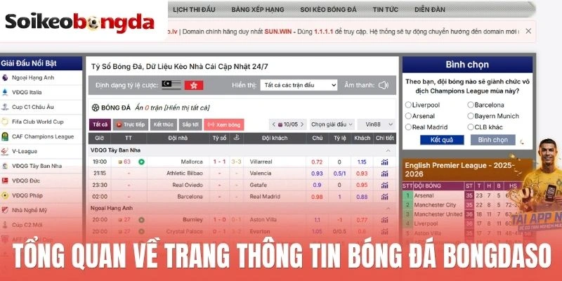Tổng quan về trang thông tin bóng đá Bongdaso