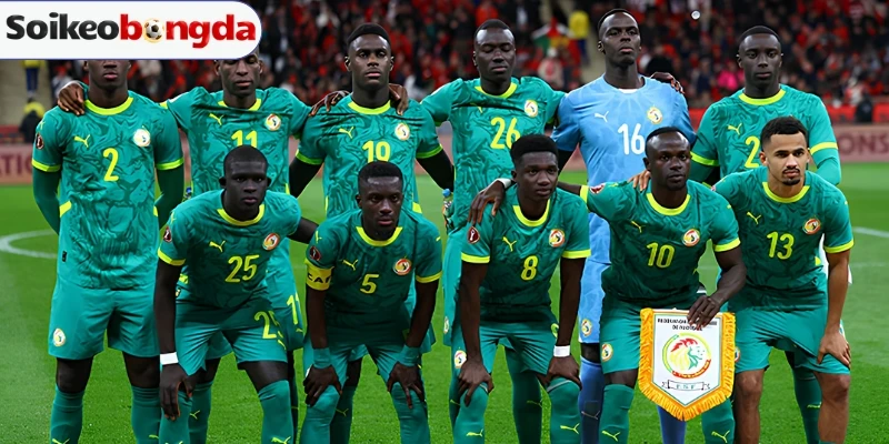 Vũ khí đáng gờm của Senegal trước trận 1/16